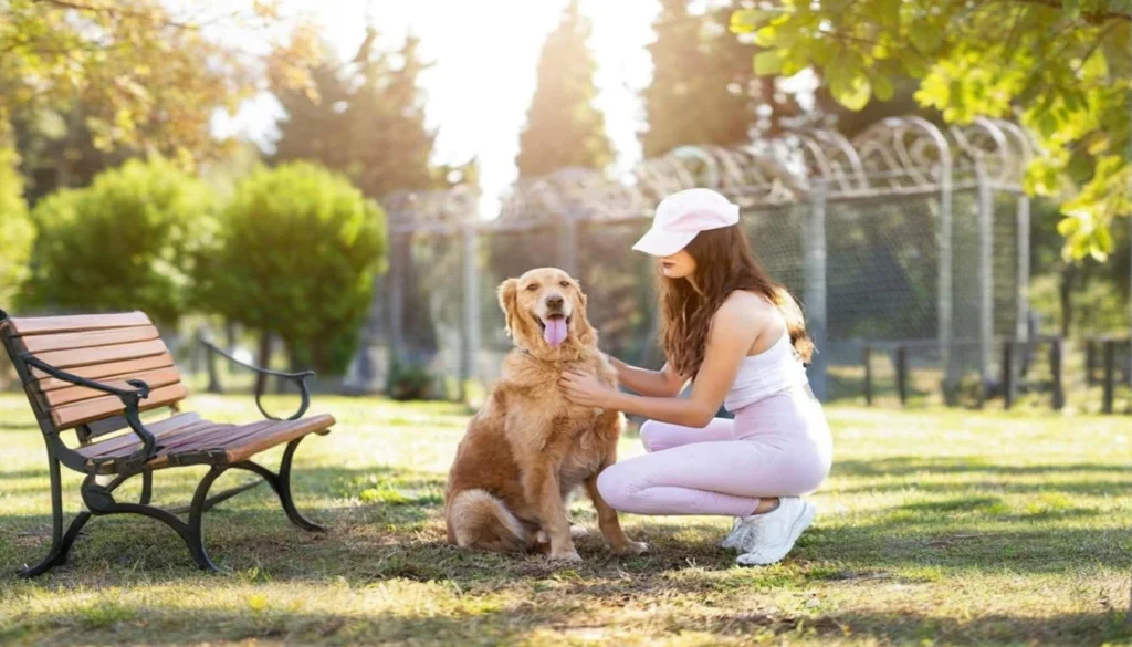 Behavior Modification Techniques For Dogs