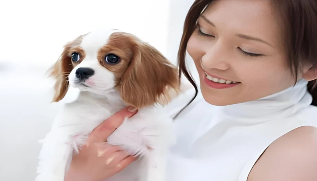 How To Train A Puppy