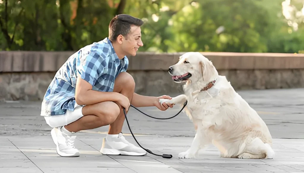 Correcting Dog Aggression