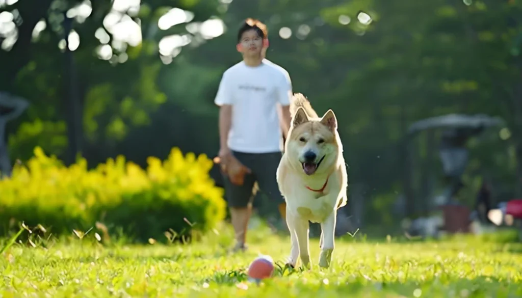 Dog Fear Aggression Towards Other Dogs