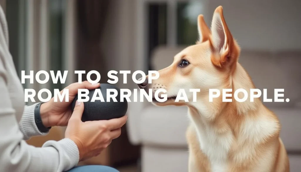 How To Stop A Dog From Barking For Attention